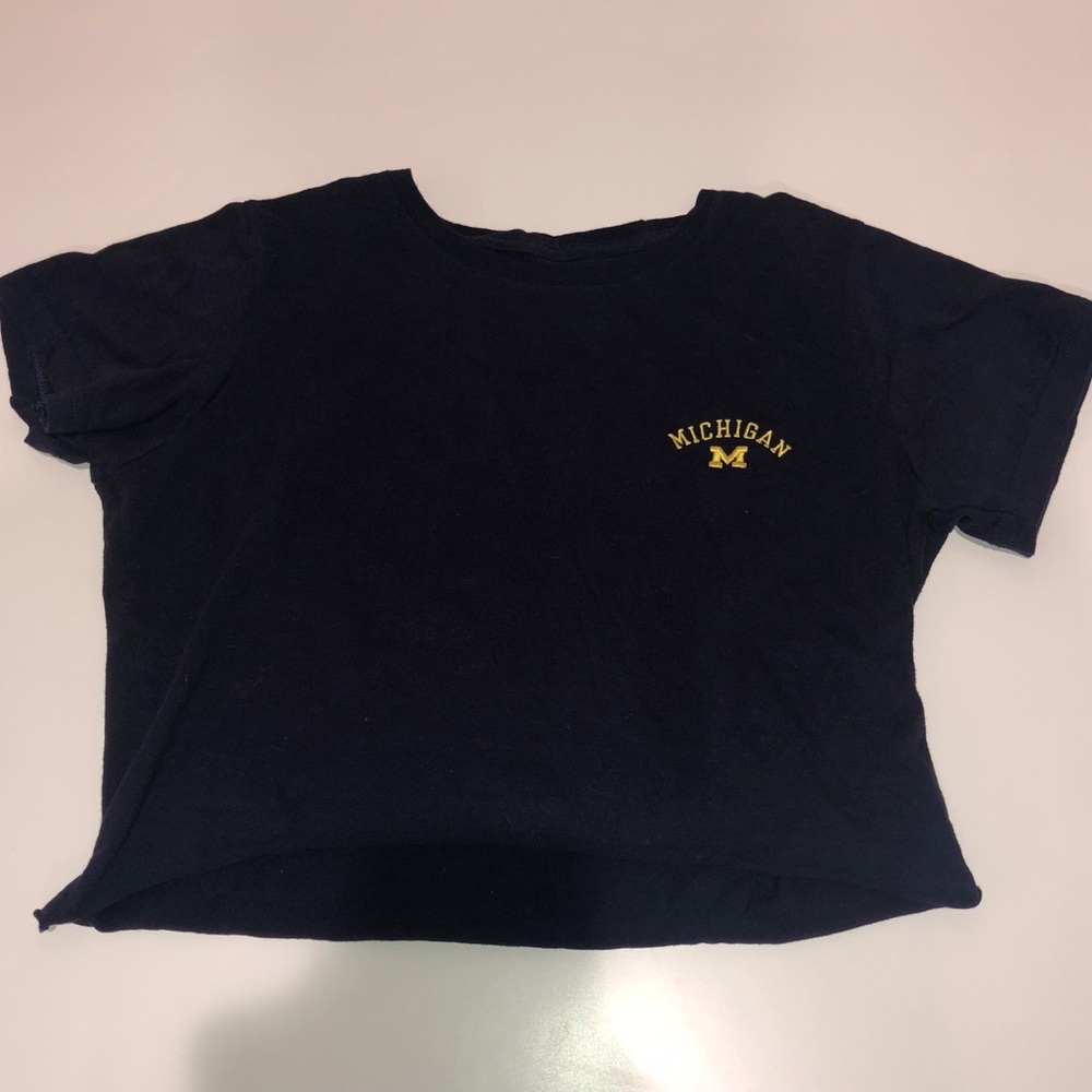 Michigan cropped graphic tee vintage